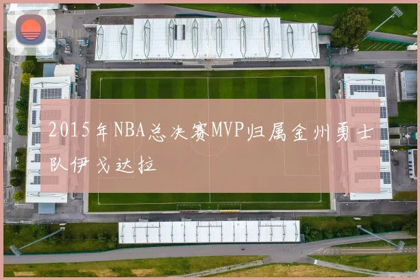 2015年NBA总决赛MVP归属金州勇士队伊戈达拉