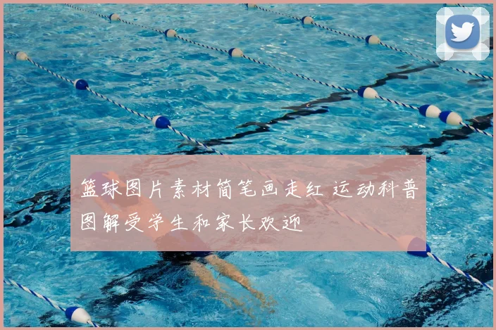篮球图片素材简笔画走红 运动科普图解受学生和家长欢迎