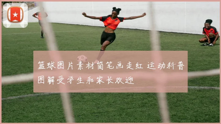 篮球图片素材简笔画走红 运动科普图解受学生和家长欢迎